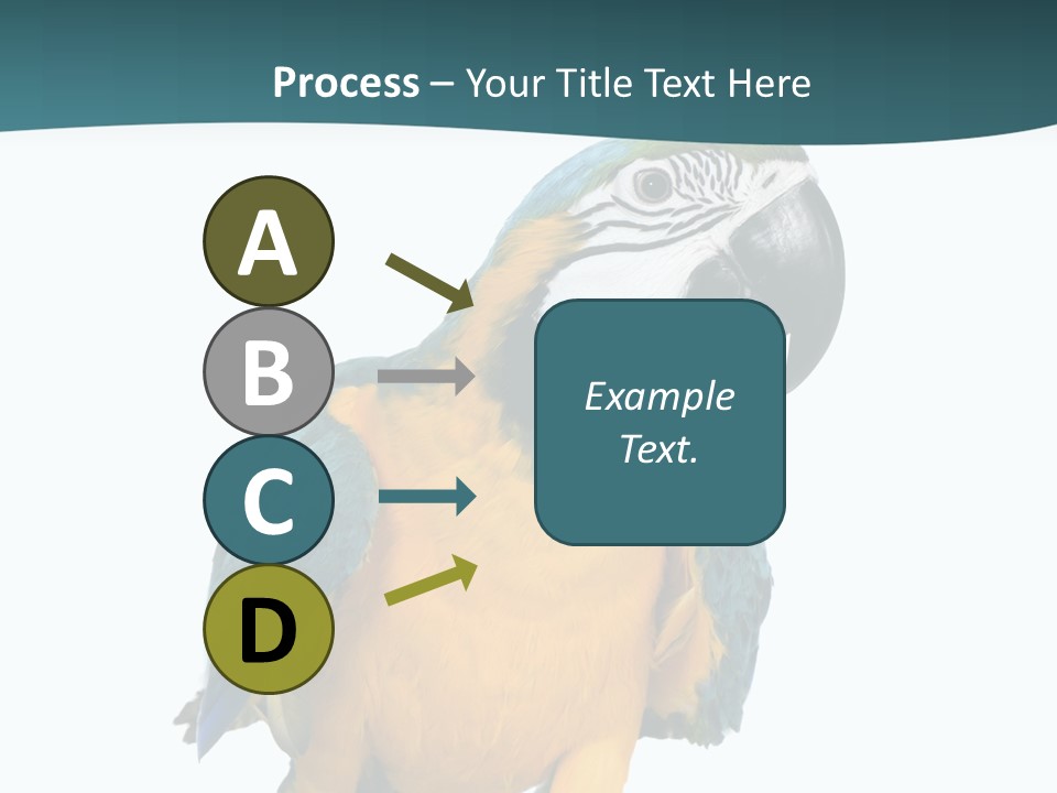 Blue Animal View PowerPoint Template