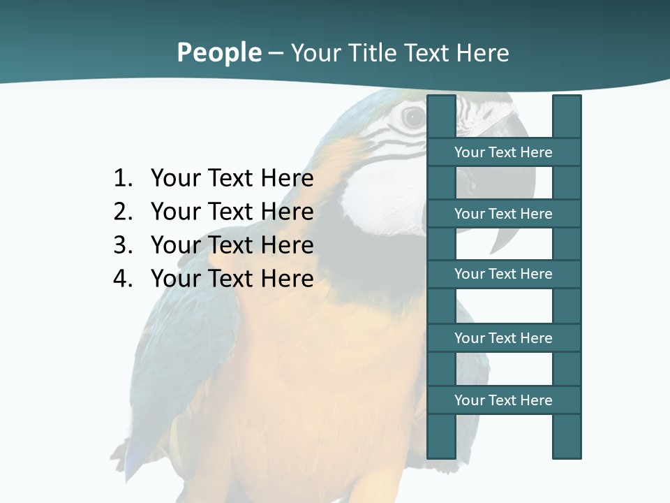 Blue Animal View PowerPoint Template