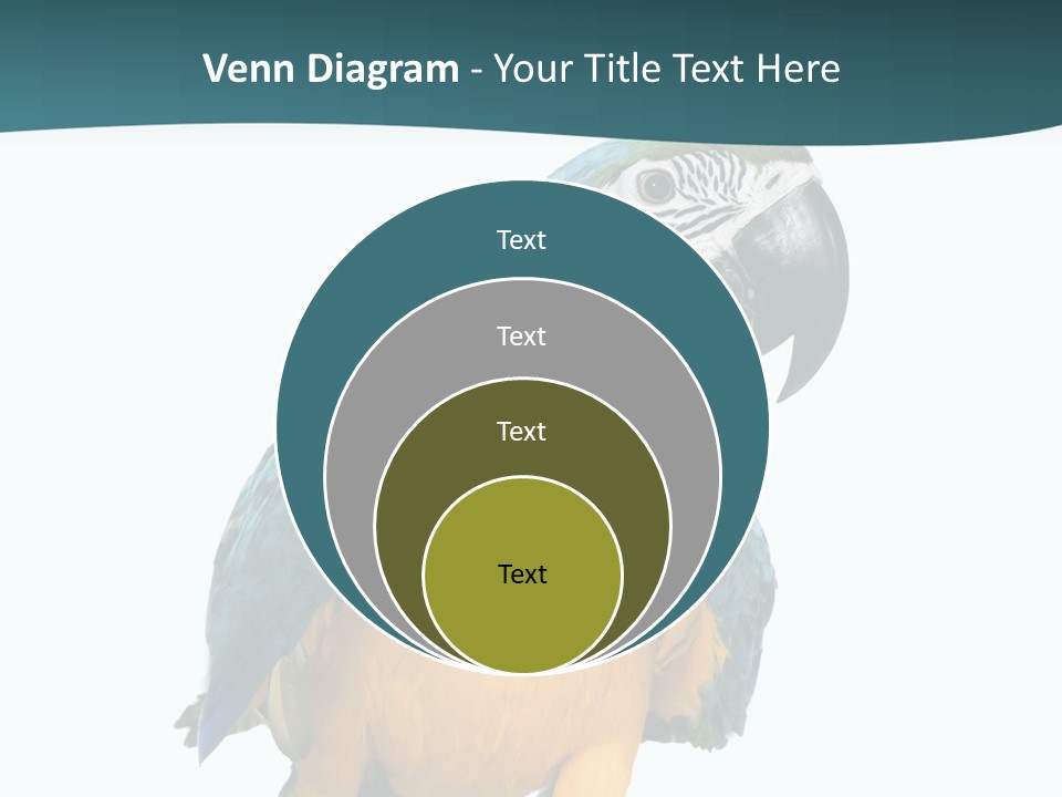 Blue Animal View PowerPoint Template