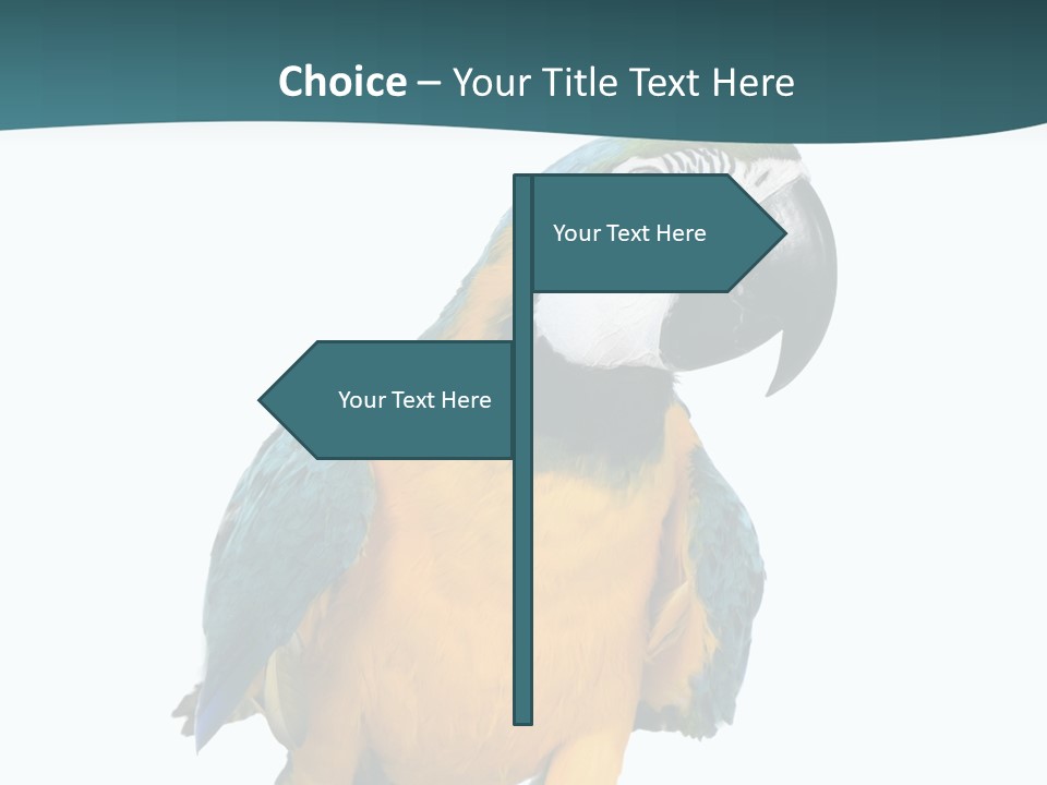 Blue Animal View PowerPoint Template