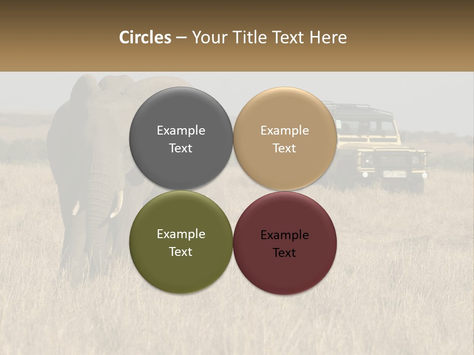 Elephant Fourwheel Mara PowerPoint Template