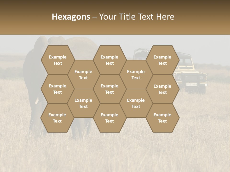 Elephant Fourwheel Mara PowerPoint Template