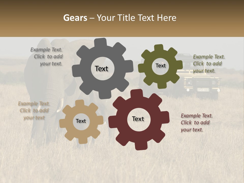 Elephant Fourwheel Mara PowerPoint Template