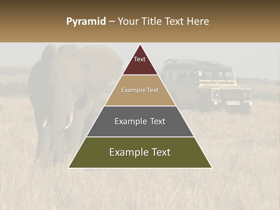 Elephant Fourwheel Mara PowerPoint Template