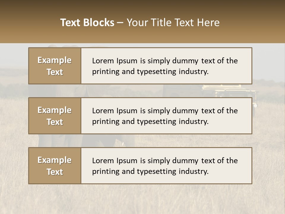 Elephant Fourwheel Mara PowerPoint Template