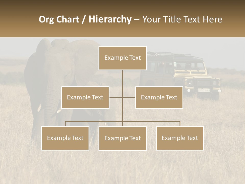 Elephant Fourwheel Mara PowerPoint Template