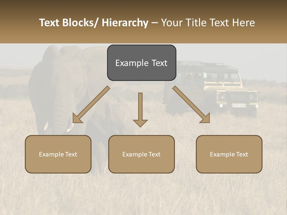 Elephant Fourwheel Mara PowerPoint Template