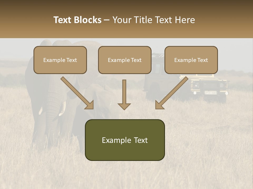 Elephant Fourwheel Mara PowerPoint Template