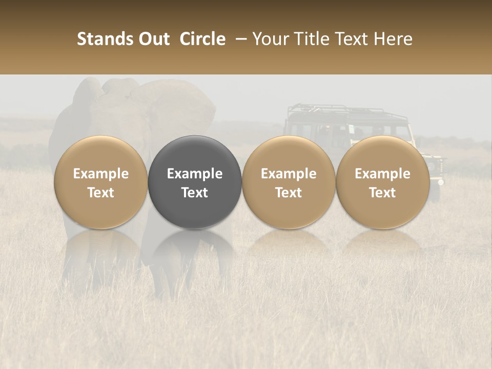Elephant Fourwheel Mara PowerPoint Template