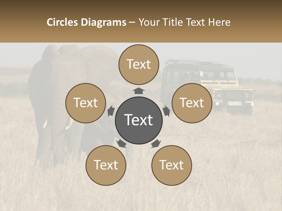 Elephant Fourwheel Mara PowerPoint Template