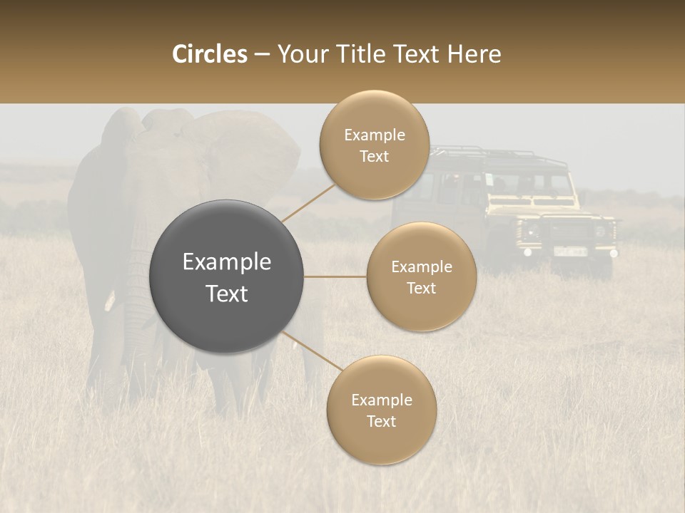Elephant Fourwheel Mara PowerPoint Template