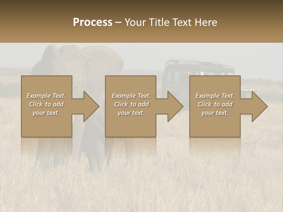 Elephant Fourwheel Mara PowerPoint Template
