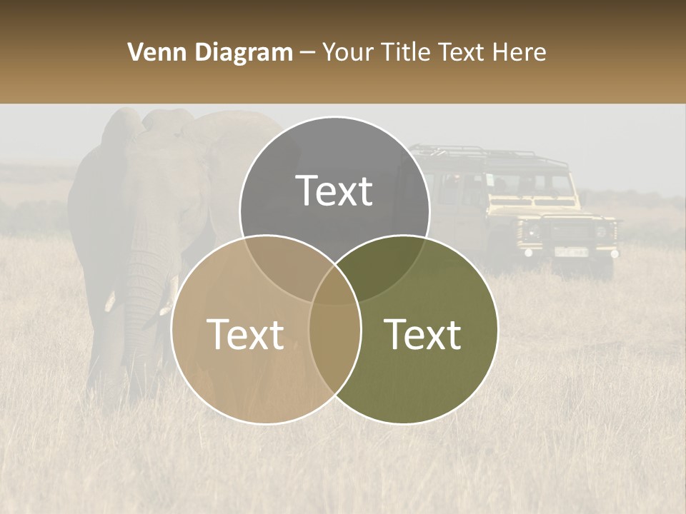 Elephant Fourwheel Mara PowerPoint Template