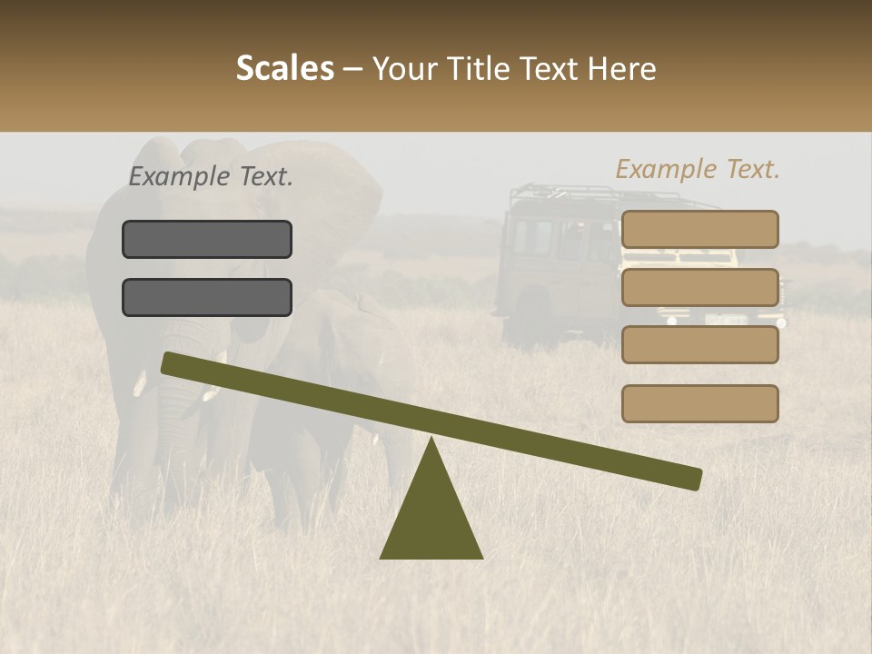 Elephant Fourwheel Mara PowerPoint Template