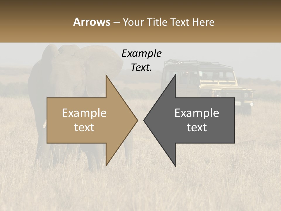 Elephant Fourwheel Mara PowerPoint Template