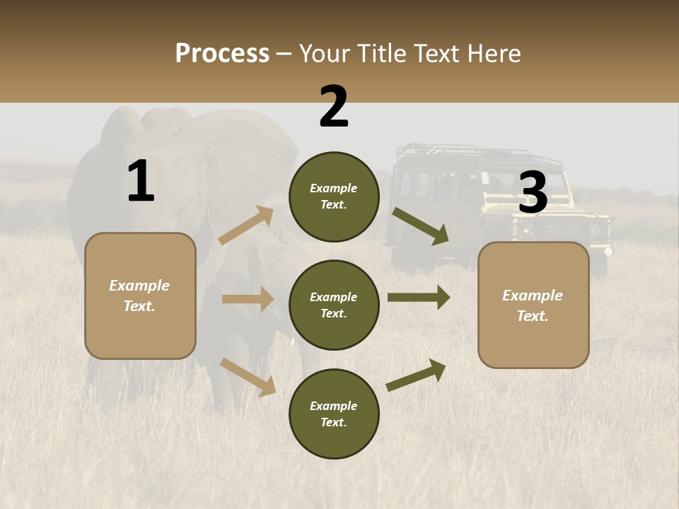 Elephant Fourwheel Mara PowerPoint Template