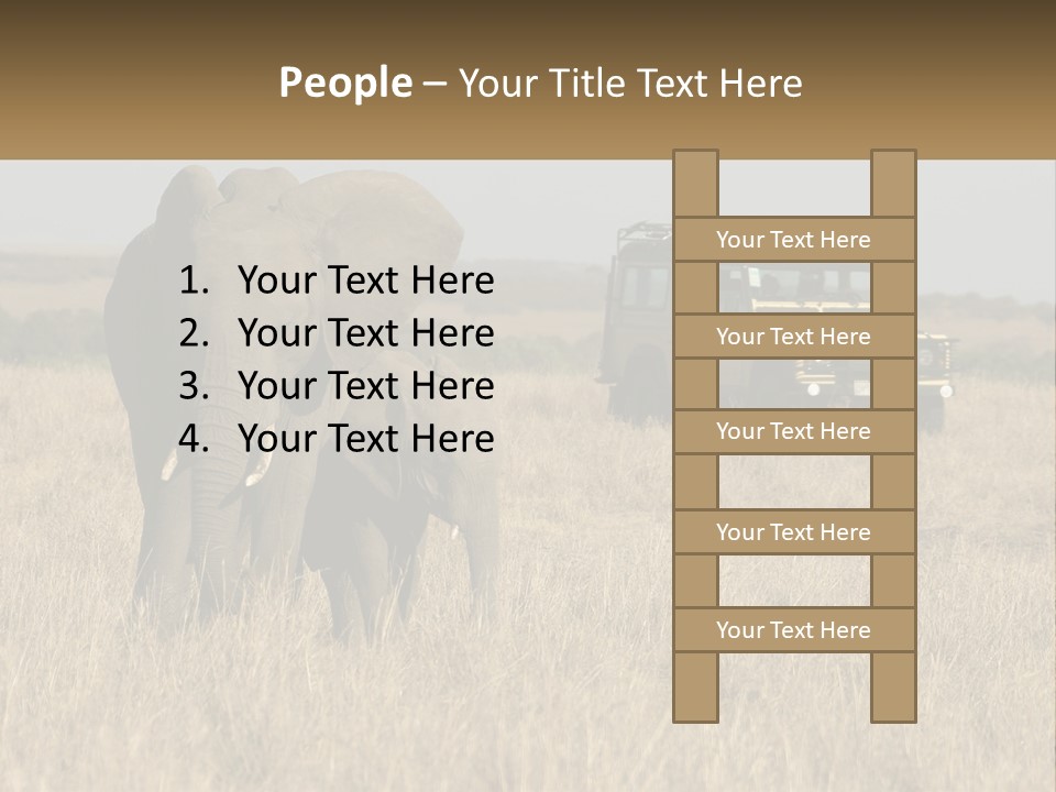 Elephant Fourwheel Mara PowerPoint Template
