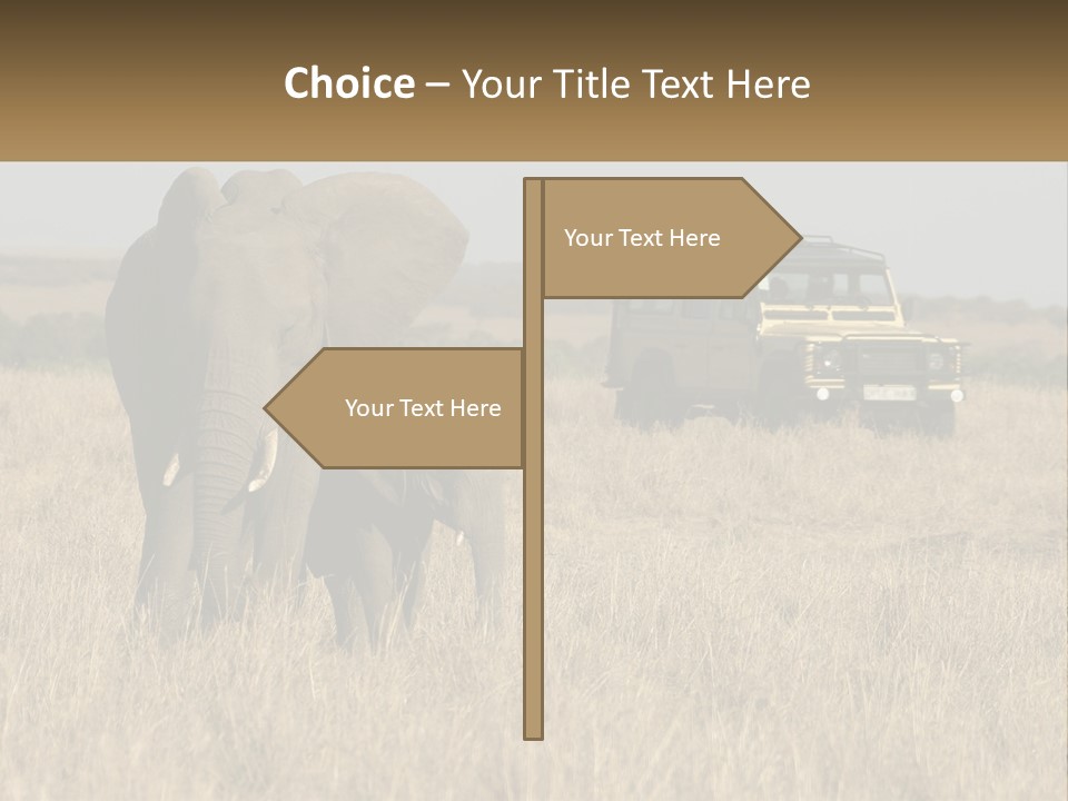 Elephant Fourwheel Mara PowerPoint Template