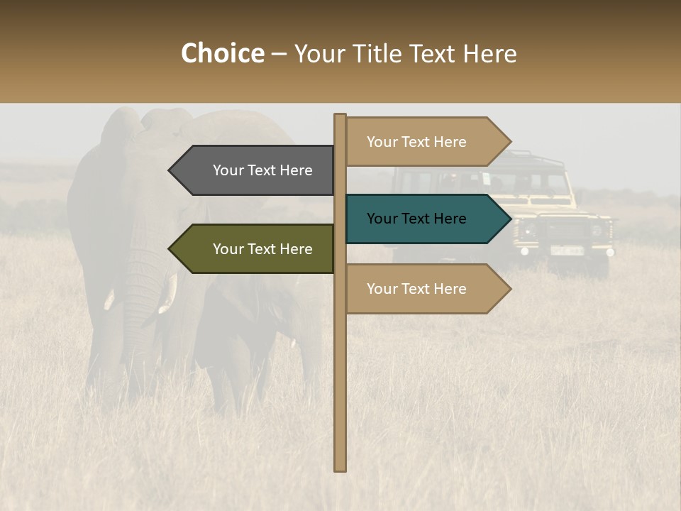 Elephant Fourwheel Mara PowerPoint Template