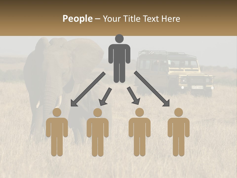 Elephant Fourwheel Mara PowerPoint Template