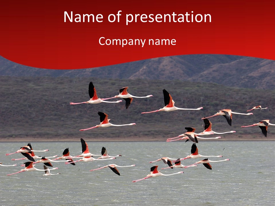 Rift Scenery Swarm PowerPoint Template