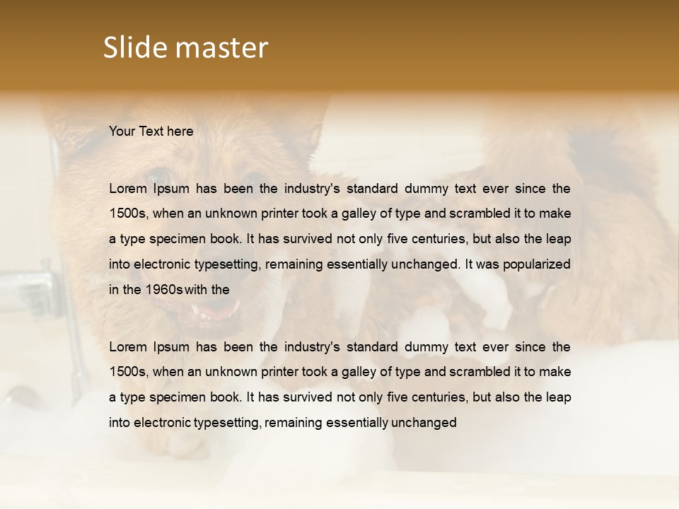 Taking Bath Water PowerPoint Template