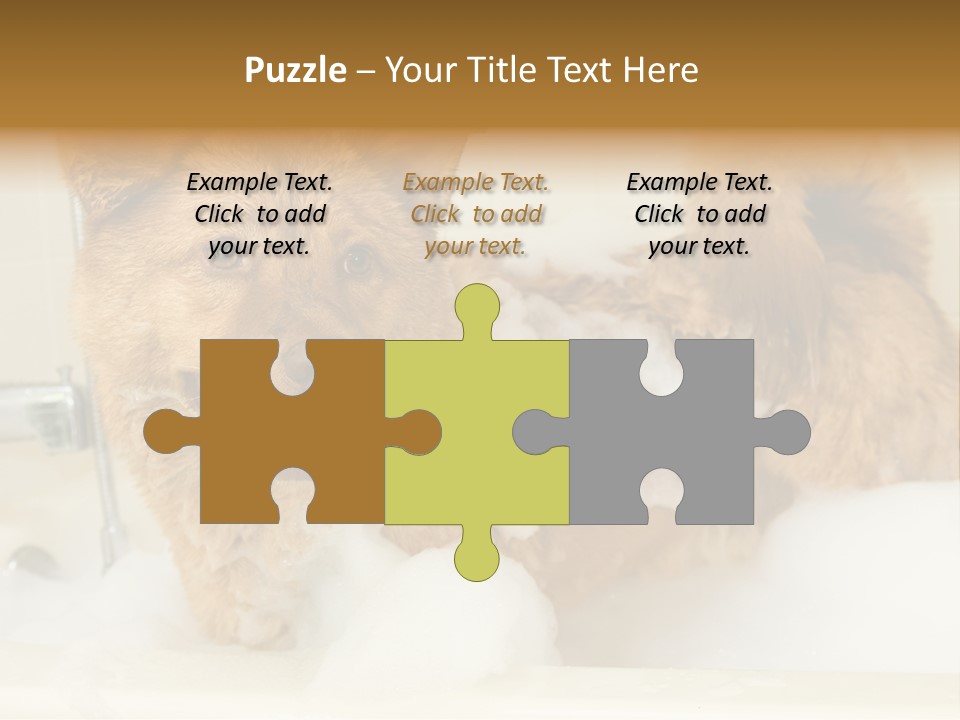 Taking Bath Water PowerPoint Template