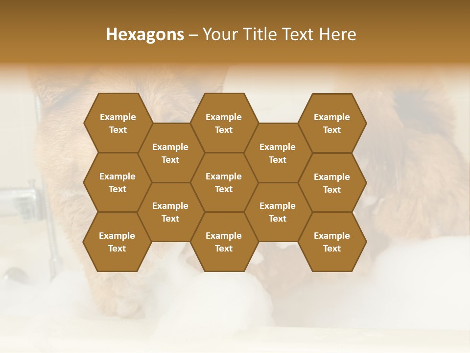 Taking Bath Water PowerPoint Template