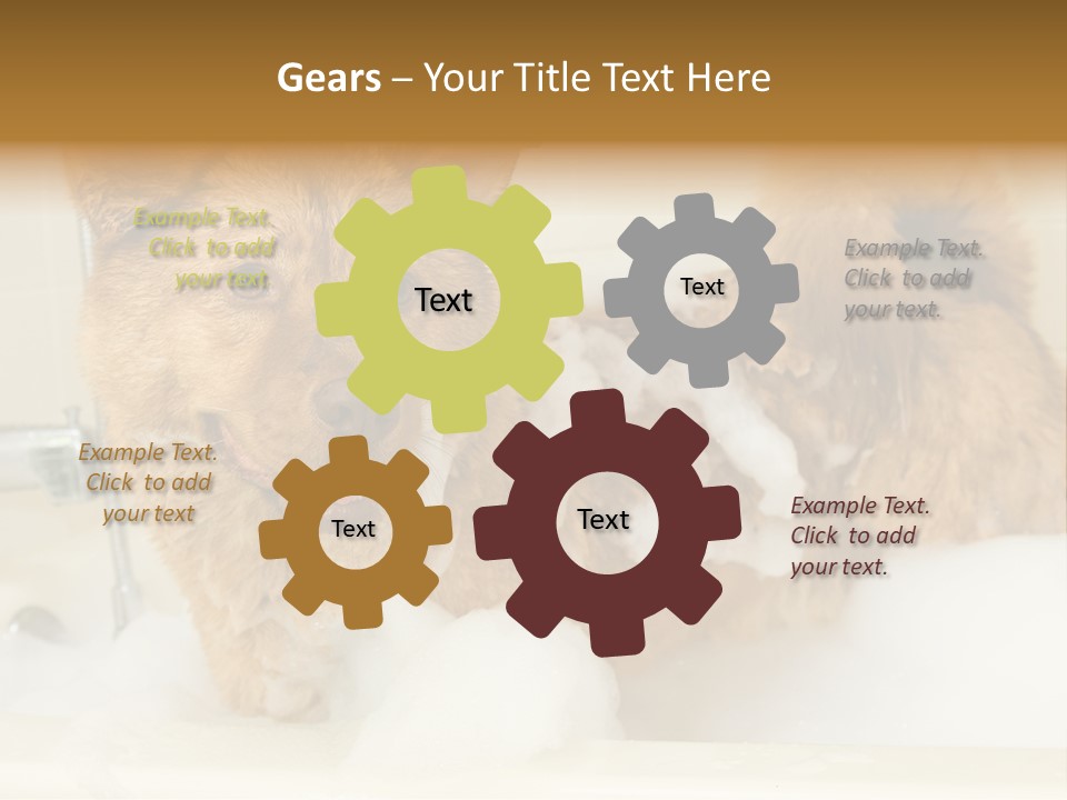 Taking Bath Water PowerPoint Template