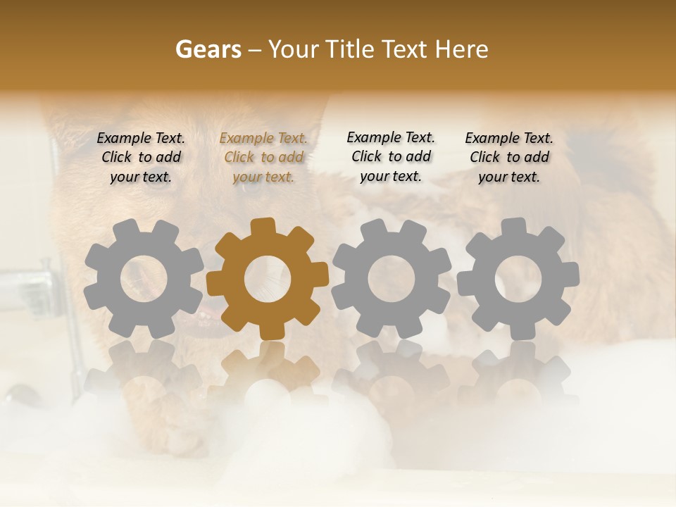 Taking Bath Water PowerPoint Template