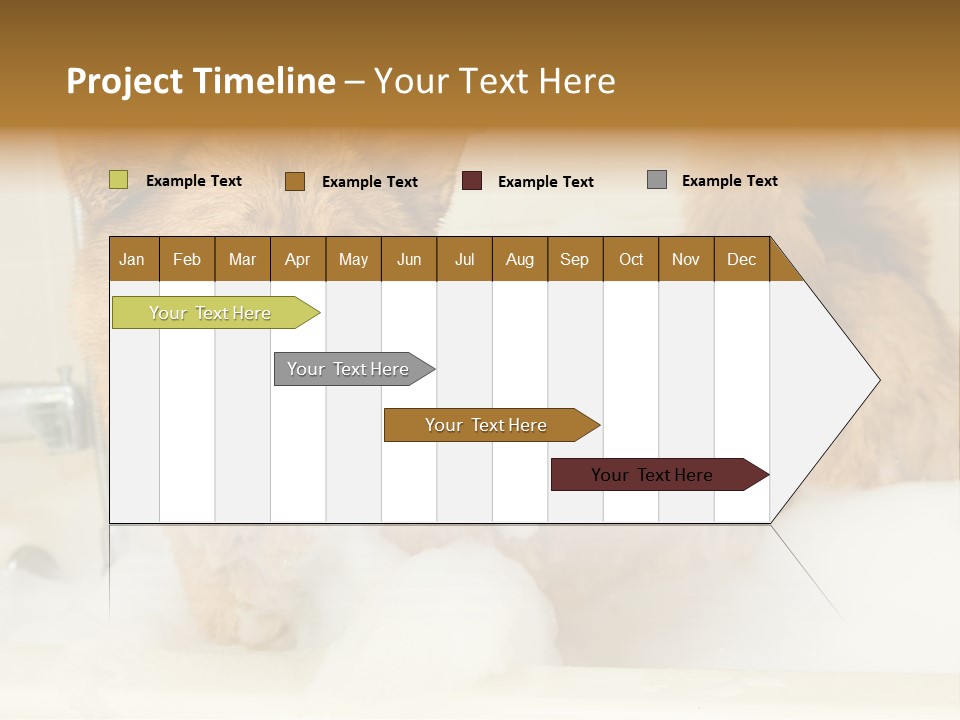 Taking Bath Water PowerPoint Template