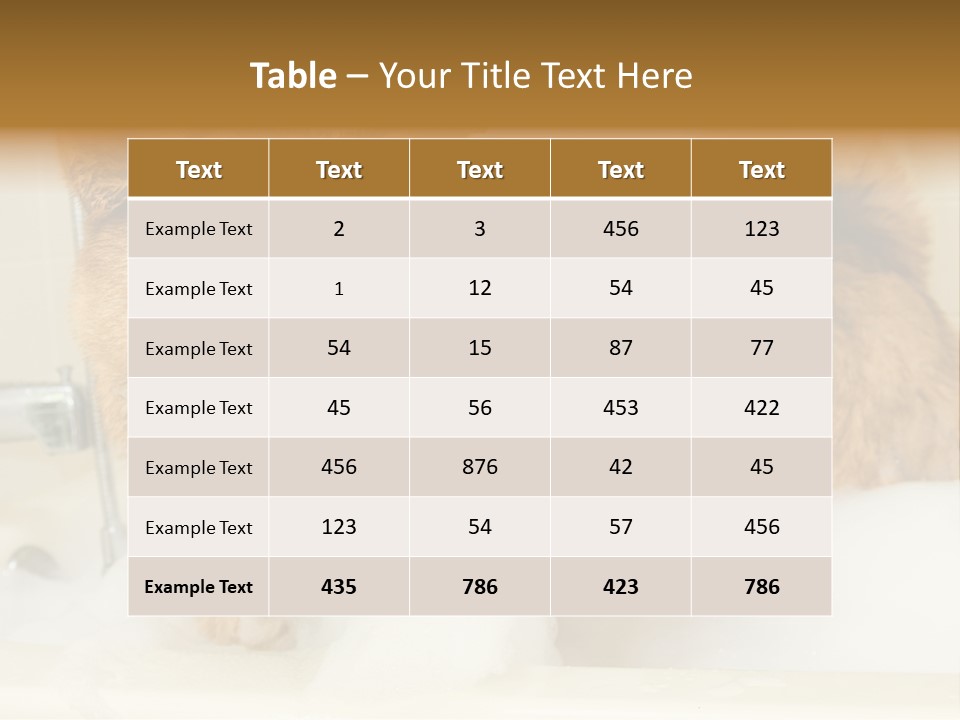 Taking Bath Water PowerPoint Template