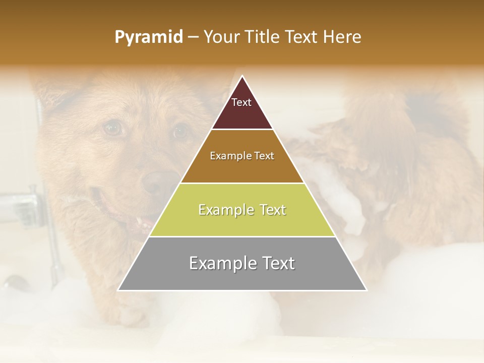 Taking Bath Water PowerPoint Template