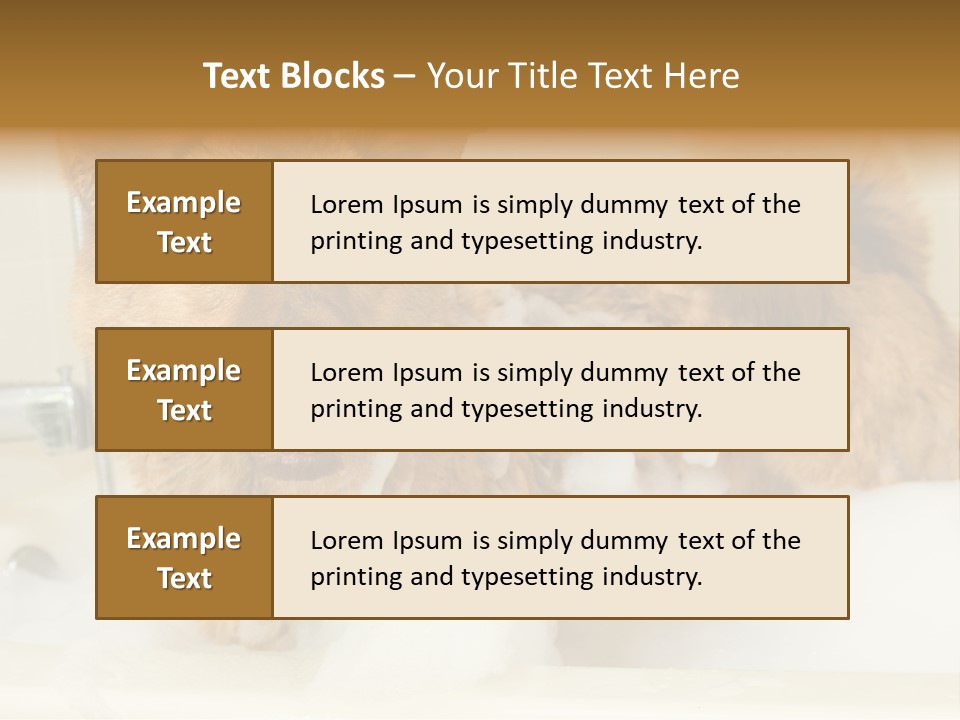 Taking Bath Water PowerPoint Template