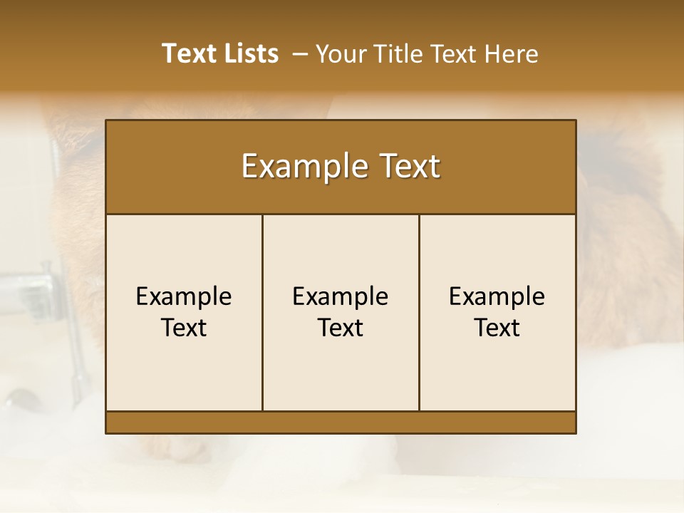 Taking Bath Water PowerPoint Template