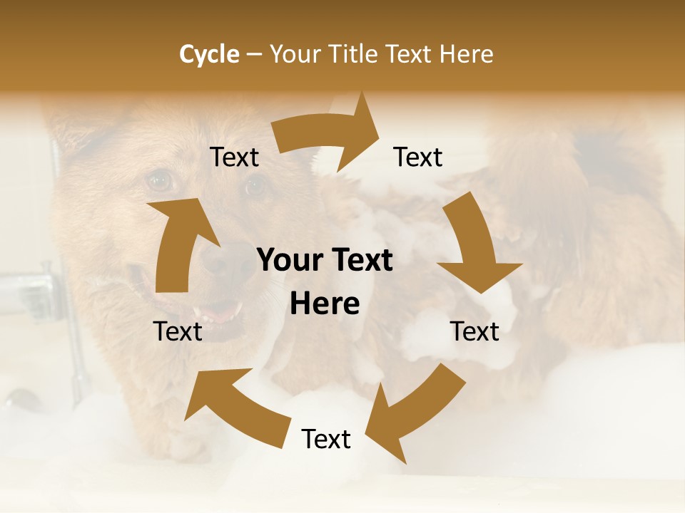 Taking Bath Water PowerPoint Template