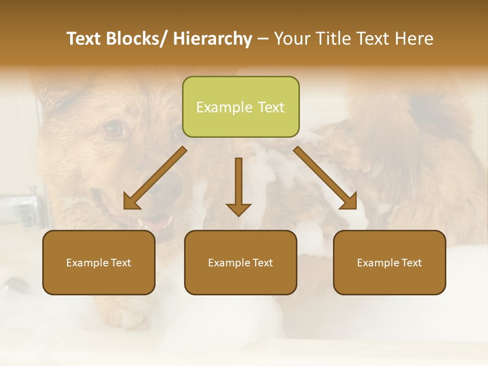 Taking Bath Water PowerPoint Template