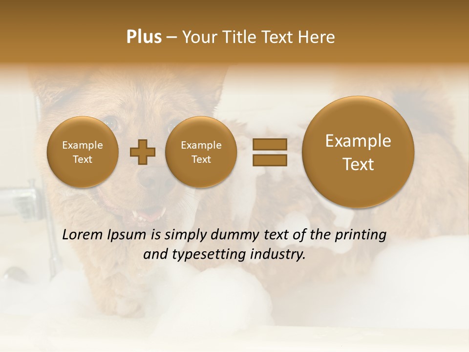 Taking Bath Water PowerPoint Template