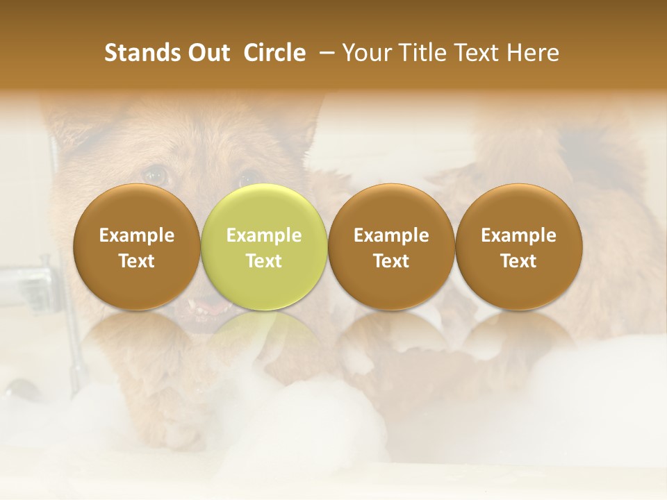 Taking Bath Water PowerPoint Template