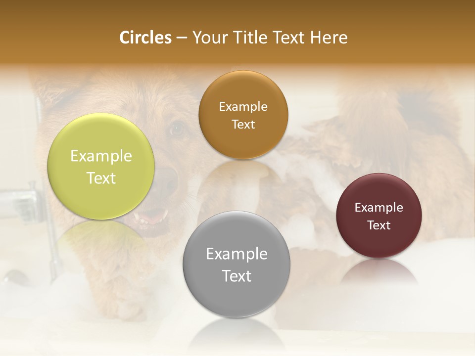 Taking Bath Water PowerPoint Template