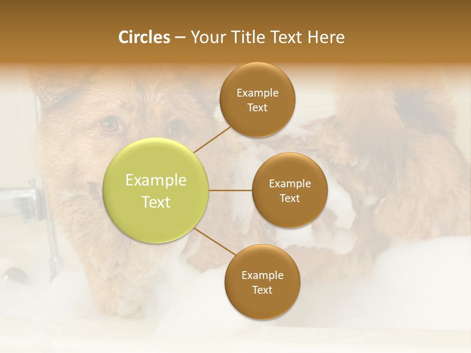 Taking Bath Water PowerPoint Template