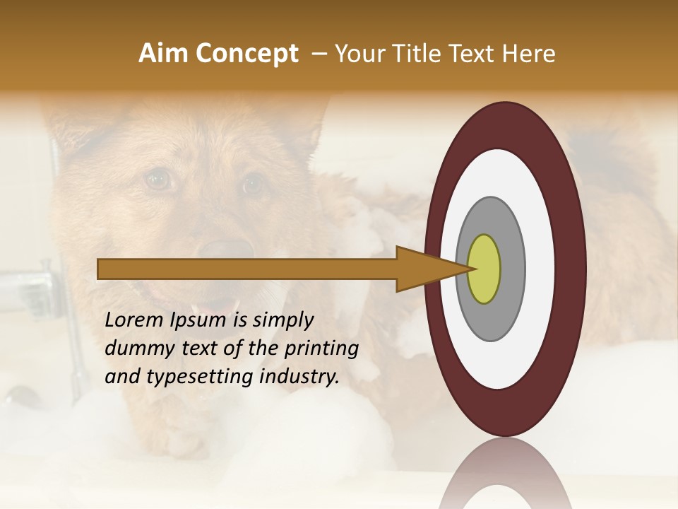 Taking Bath Water PowerPoint Template