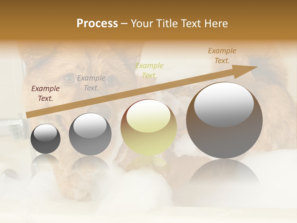 Taking Bath Water PowerPoint Template