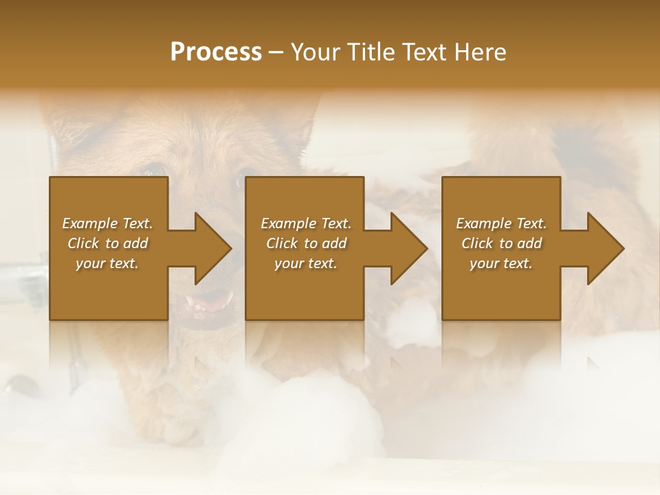 Taking Bath Water PowerPoint Template