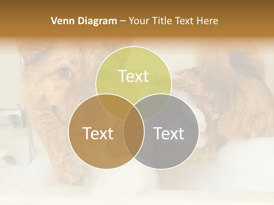 Taking Bath Water PowerPoint Template