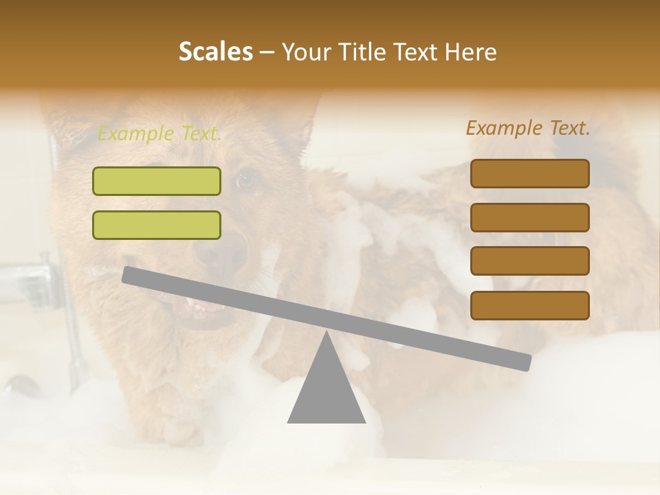 Taking Bath Water PowerPoint Template