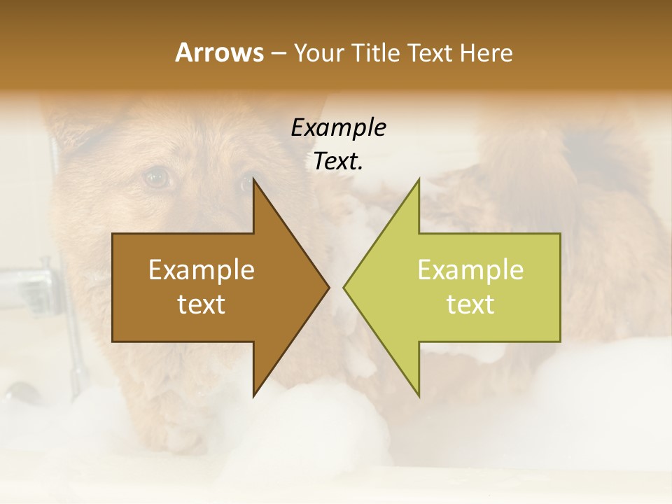 Taking Bath Water PowerPoint Template