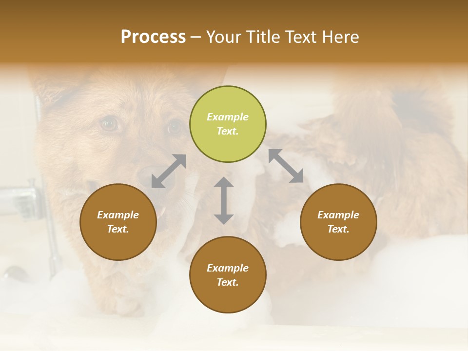 Taking Bath Water PowerPoint Template