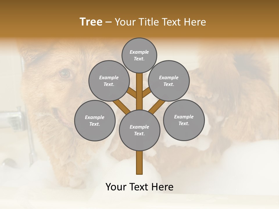 Taking Bath Water PowerPoint Template