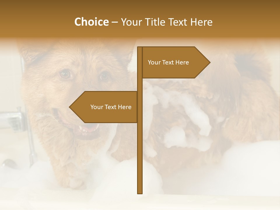 Taking Bath Water PowerPoint Template